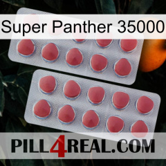 Super Panther 35000 19